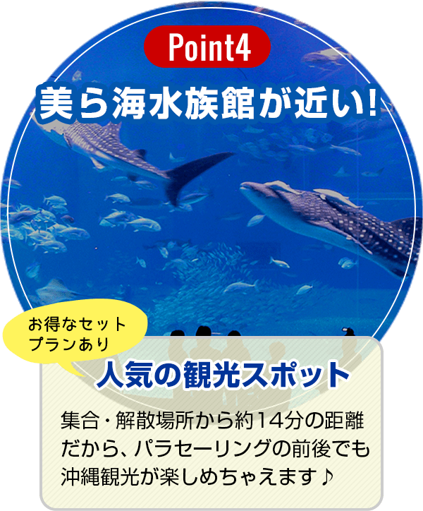 【Point4】美ら海水族館が近い！